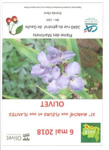 Marché aux fleurs et aux plantes