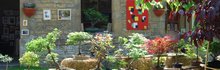 16ème Fête des Villages Fleurie et de la Nature