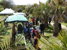 Fête des Plantes du Jardin exotique de Saint-Renan