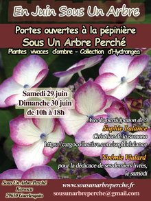 En juin sous un arbre