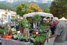 Fête aux Plantes Rares