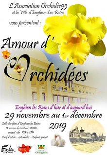 Amour d'Orchidées