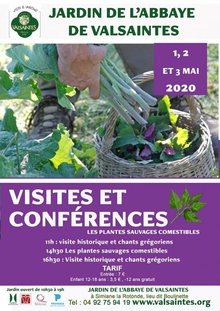 Visites et conférénces les herbes sauvages comestibles