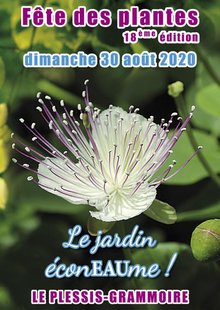 Fête des Plantes du Plessis Grammoire (49)