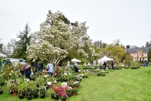Fête des Plantes