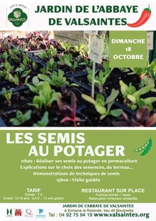 Les semis au potager