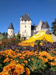 Fête des fleurs d'Automne