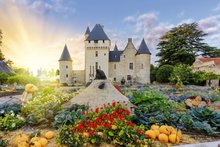Fête de la citrouilles