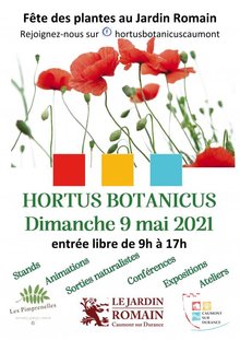 Hortus Botanicus