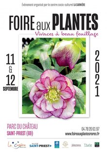Foire aux plantes Vivaces à beau feuillage