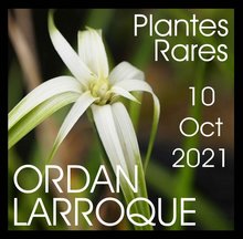 19ème journée des Plantes Rares