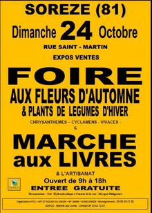 Art et passion au jardin couleurs d'automne