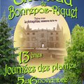 13èmes Journées des plantes du Chateau de Bonrepos-Riquet (BONREPOS-RIQUET, 31)