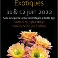 Salon des Plantes Exotiques (BéDéE, 35)