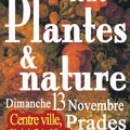 Foire plantes et nature (PRADES, 66)