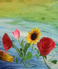 Art et plantes