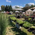 Fête des Plantes Jardins de La Croze (BILLOM, 63)