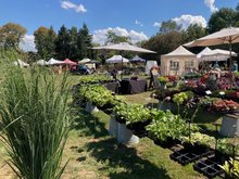 Fête des Plantes Jardins de La Croze