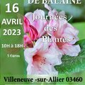 Fete de plantes Aglaë Adanson (VILLENEUVE-SUR-ALLIER (03460), 03)