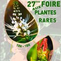 27e Foire aux plantes rares (BEZOUOTTE, 21)