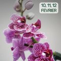 15ème Salon International de l'Orchidée de Bouc Bel Air (BOUC BEL AIR, 13)