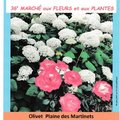 Marché aux fleurs et aux plantes (OLIVET, 45)