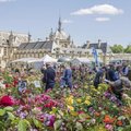 Journées des Plantes de Chantilly (CHANTILLY, 60)