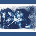 Exposition de betty damestoy (GIROUSSENS, 81)