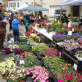 29ème Marchés aux Fleurs (RODEMACK, 57)