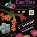 COULEURS CACTUS 2023 : salon des cactus et plantes succulentes (EGLISENEUVE PRèS BILLOM, 63)