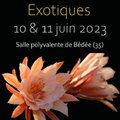 Salon des plantes Exotiques Bédée 2023 (BéDéE, 35)