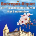 14ièmes Journées des plantes du château de Bonrepos-Riquet (BONREPOS-RIQUET, 31)