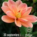 Journées des Plantes et Art du Jardin Jossigny (JOSSIGNY, 77)