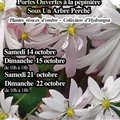 Le temps des saxifrages (GUERLESQUIN, 29)