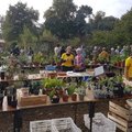 Vide jardin (TOURNEFEUILLE, 31)