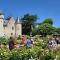 Fête des Roses au Château du Rivau - Rendez-vous aux Jardins 2024 (LéMERé, 37)