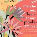 Marché aux fleurs et aux plantes (OLIVET, 45)