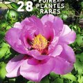 Foire aux plantes rares (21310 BéZOUOTTE, 21)
