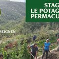 Stage le potager en permaculture (SIMIANE LA ROTONDE, 04)