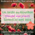 Un jardin au Mourillon (TOULON, 83)