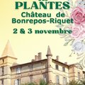 15ièmes Journées des plantes du château de Bonrepos-Riquet (BONREPOS-RIQUET, 31)