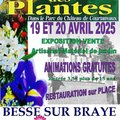 Courtanvaux cote jardin 2025 (BESSE SUR BRAYE, 72)