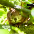 Fête des Jardins au château de Pommorio (TREVENEUC, 22)