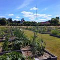 Bienvenue dans mon jardin au naturel (BEAUMESNIL, 27)
