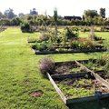 Participez à l'installation de buttes de culture dans notre potager conservatoire (BEAUMESNIL, 27)