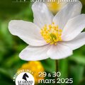 Journées des Plantes & Art du Jardin - Fête du printemps (FONTAINEBLEAU, 77)