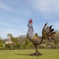 Exposition Pierre Treilhes - Coq Ô Mania (SALIGNAC-EYVIGUES, 24)