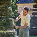 Journées Mondiales de la Topiaire (SALIGNAC-EYVIGUES, 24)