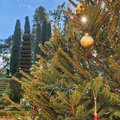 Vacances de Noël, les lutins du Père Noël à Eyrignac (SALIGNAC-EYVIGUES, 24)