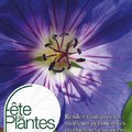 Fête des Plantes de Printemps de Saint-Jean de Beauregard (SAINT-JEAN DE BEAUREGARD, 91)